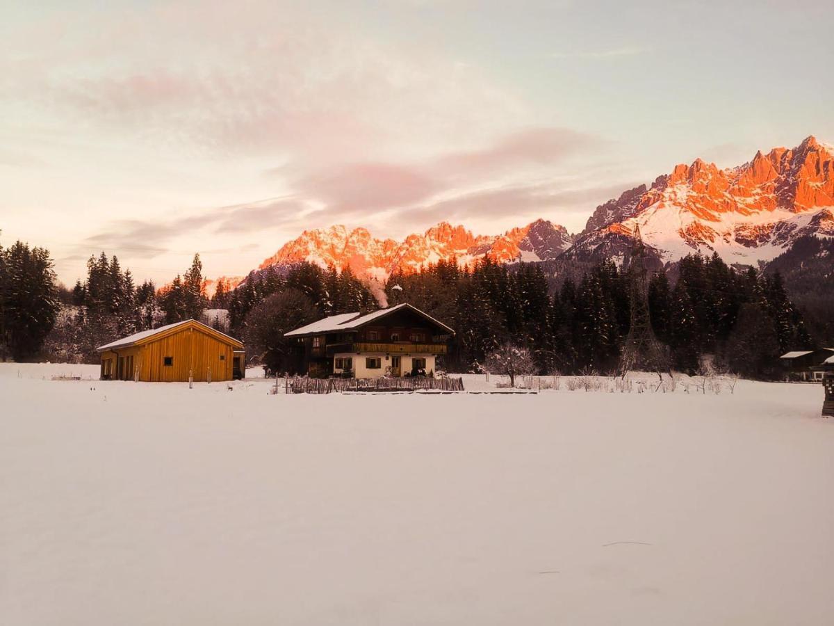 Going Artenreich Going am Wilden Kaiser Exteriér fotografie